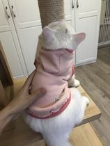 Consecte-Pet Clothing Cat Sweater Veggie Dog Weaselwear Dog Knitwear Cat Knit Cat Clothing Kitty Clothing