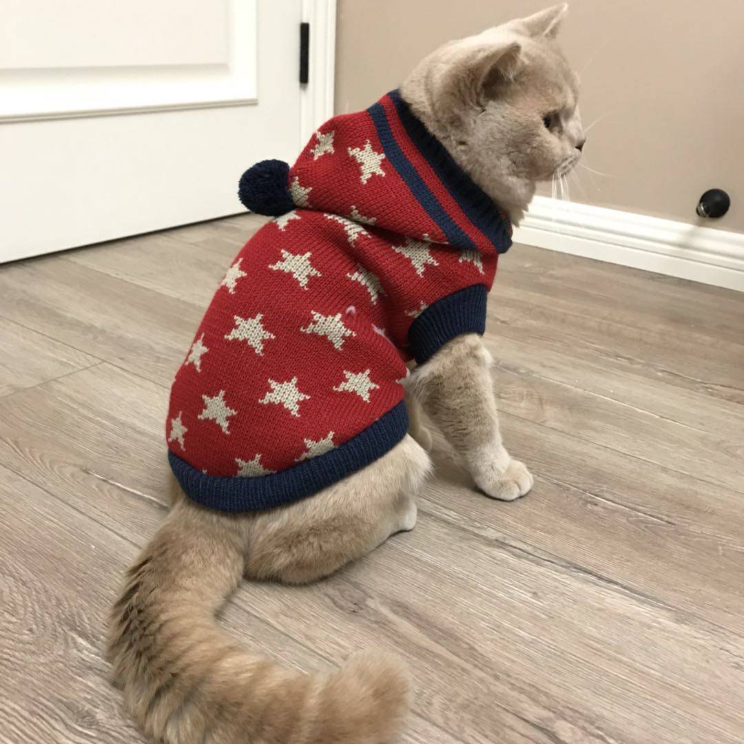 Consected Cat Christmas Clothes Knit Fur Gallows Stars Two Feet High Collars Pets Winter Warm Clothes
