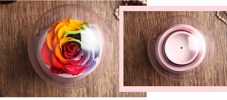 Xoay âm nhạc pha lê bóng vĩnh cửu hoa bảo quản DIY hộp hoa khô flower glass chuông bìa hoa sắp xếp chất liệu