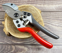 Matsuzo Japanese Fruit Cutter N71