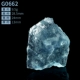 G0662