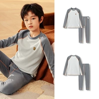 Серый (класс малая черепаха-воротничка и антибактериальные 290 г)