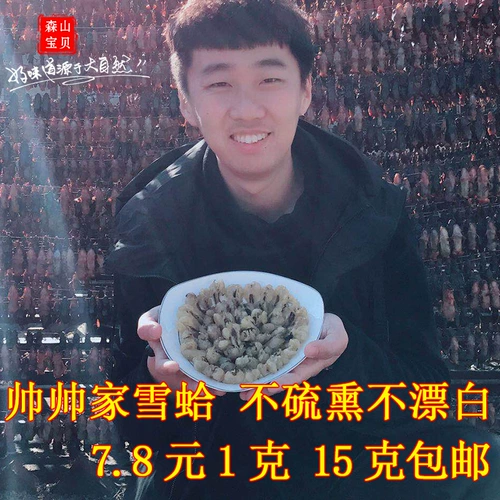 Подлинный снежный клад с заснеженной кладкой Кламе Клам Клада Клада Клатидия Северо -восточный снежный снежный моллюско