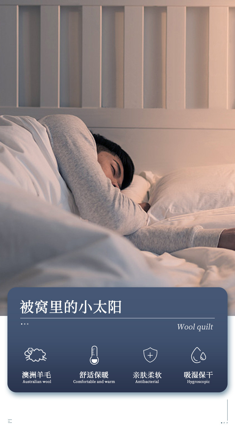 天猫官方认证店铺 Lehome 澳洲羊毛被 图2