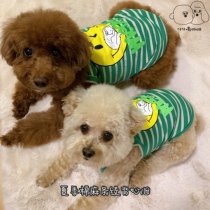 Paparazzi drinking coffee small Puppy teddy Bears with cub Beauty Mie spring and summer thinness Vest Cute Pet Clothes