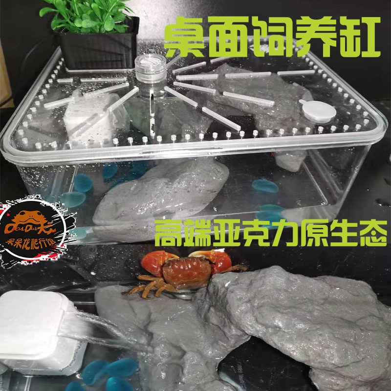 Xiangshou crab ornamental crab tank acrylic breeding box fish tank turtle tank aquarium turtle crawling pet breeding box acrylic