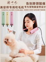 Walk 17 professional pet beauty hair dryer deep noise reduction silent wind power hung dog dog kitten hair machine