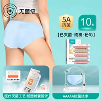 Для женщин·Пастель 10 шт.｜Чистый хлопок·5А антибактериальный