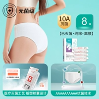 Для женщин·Высокая талия, 8 предметов｜Чистый хлопок·ЭО-стерилизация·Рекомендации в послеоперационном/послеродовом периоде