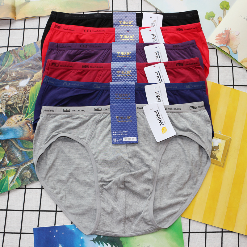 Tiantaolong Men's Underwear Briefs Modal Soft Breathable Men's Briefs Youth Underwear