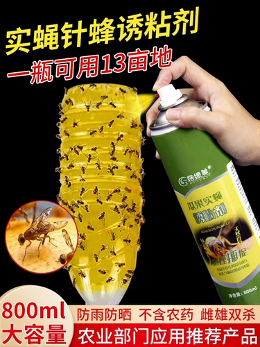 Гуатурные мухи, клей, сад, оранжевые твердые мухи, пчела -би, клей