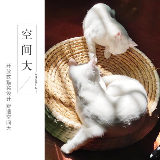 Little cheap cat wicker cat scratching board wear-resistant scratch-resistant woven cat rattan nest toy nest bowl-shaped cat scratching box cat scratching nest