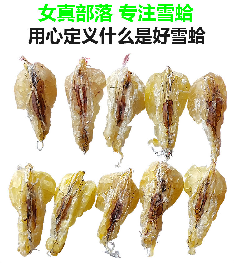 Подробности снежного моллюска 181018_01.jpg