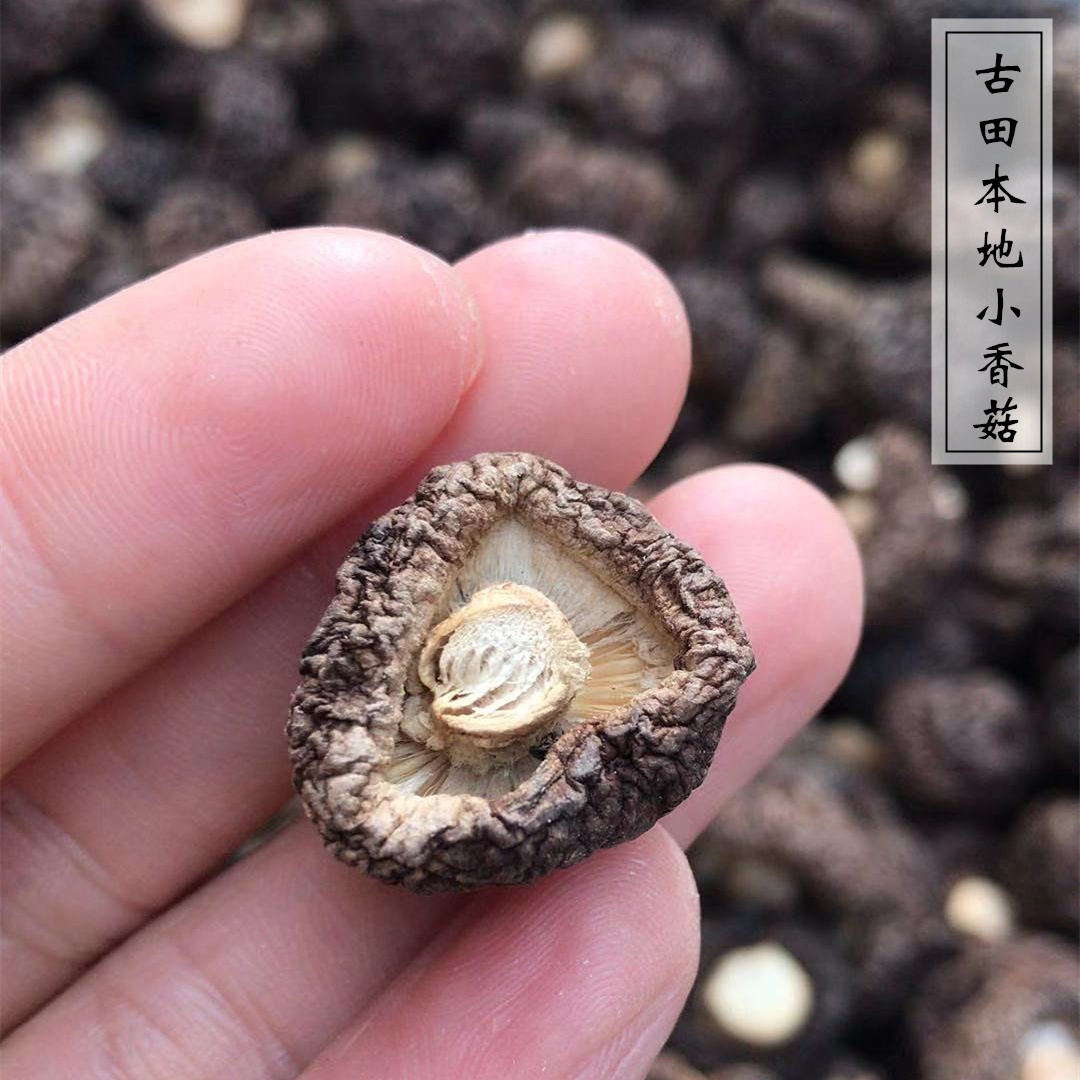 Fujian specialty Gutian local small shiitake mushrooms 500g dried mushrooms