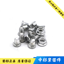 Galvanized carriage bolts Large flat head square neck screws Shelf screws Bridge screws M6M8M10M12