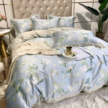 60 Lan Essence with four sets of silk sliding pro-skin minimalist Temperament Pure Color Bed