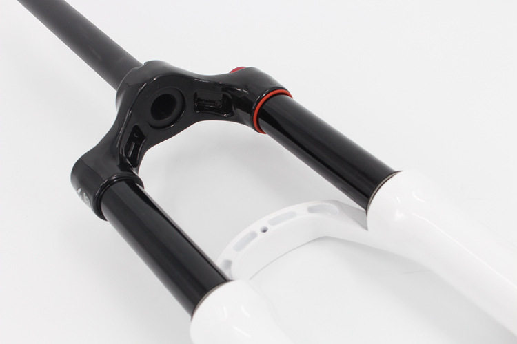 Krsec Rainbow Standard Fork 11.jpg