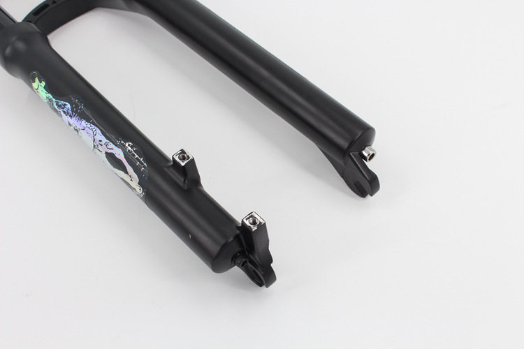 Krsec Rainbow Standard Fork 07.jpg