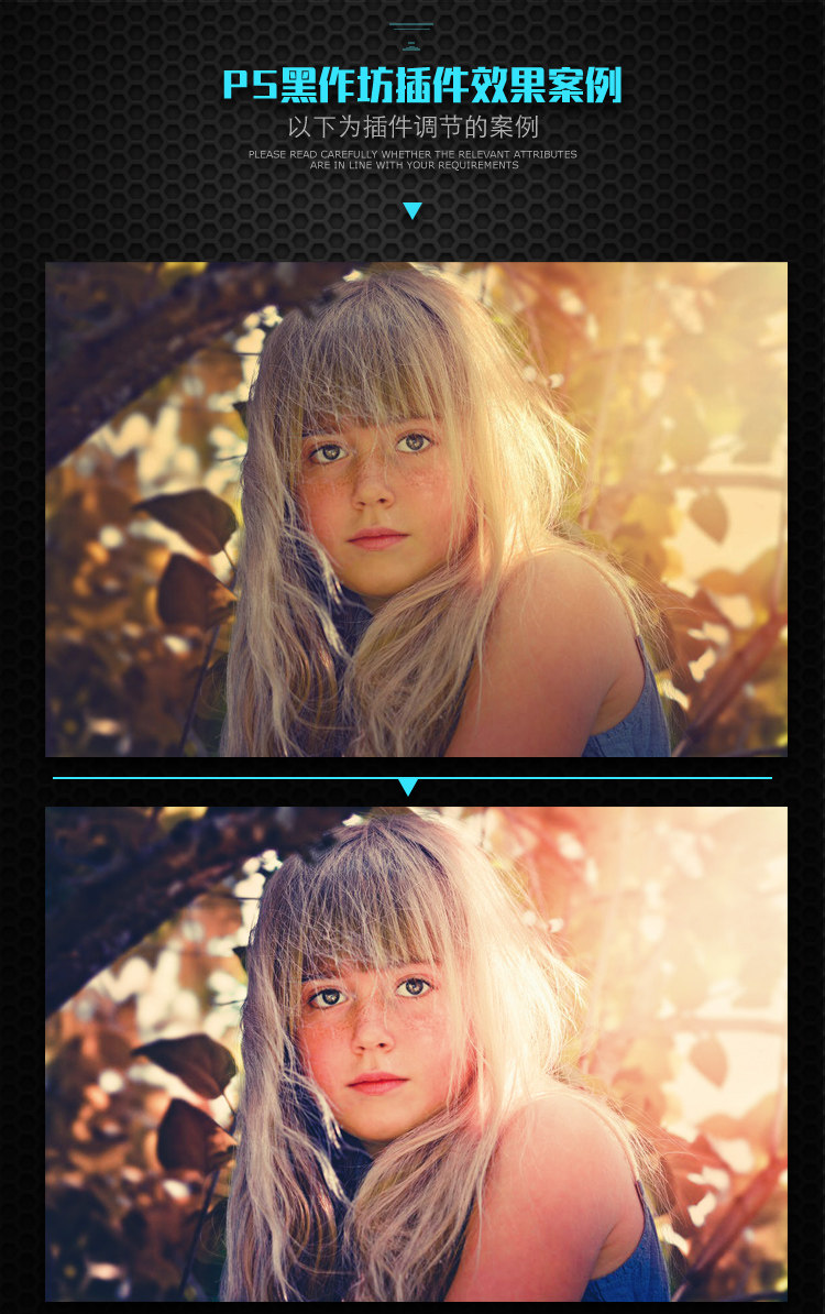 【S103】黑作坊色调调色PS插件