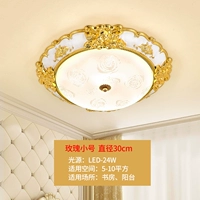 Диаметр розы 30 см+трех -корровой изменение света