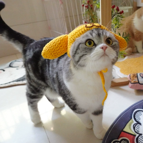 Милая шерстяная шапка, хлопковая голова куклы, шлем, домашний питомец, кот