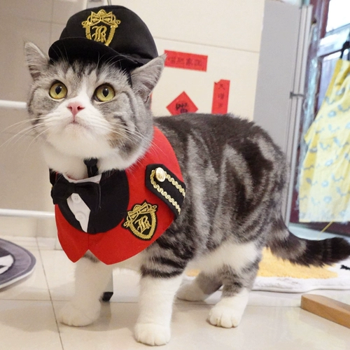 Милая униформа, галстук-бабочка, шарф, шапка, комплект