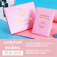 Double Plug -in pink (стандартный 2 -цельный набор