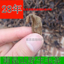 Huizhou Longmen Nankunshan specialty 92 years Wild Tea 100 years old Tea Nourishing kung fu tea gift 100g