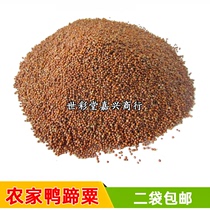 Duck hoof millet farm duck hoof corn flour wild duck foot corn flour dry Hakka specialty