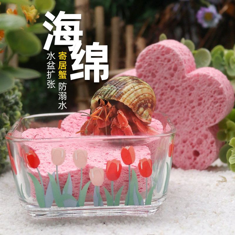 寄居蟹水盆垫脚海绵～卡通寄居蟹防溺水海绵木浆棉花朵造型海绵