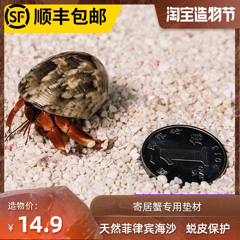 Hermit crab natural cushion material coral sand Philippine sand Native coral bone shell sand 2 5kg Snail heterosexual pet