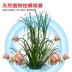 Bọ ve gia đình phun lên mạt giường nhân tạo ngoài mạt dán thuốc chống côn trùng 祛 螨 - Thuốc diệt côn trùng bình xịt diệt mối Thuốc diệt côn trùng