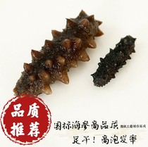 Light dried sea cucumbers Liao cucumbers dried small sea cucumbers wild Dalian sea cucumbers deep sea sea cucumbers pregnant women’s sea cucumbers non-ready-to-eat sea cucumbers