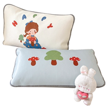 Class A ice silk pillowcase pair summer new childrens pillowcase single household 48x74 pillow core liner cover for women