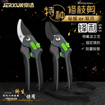 Beijing selection pruning shears flower scissors gardening scissors pruning household pruning branches picking vegetable fruit tree branches flower art Flower Branch scissors