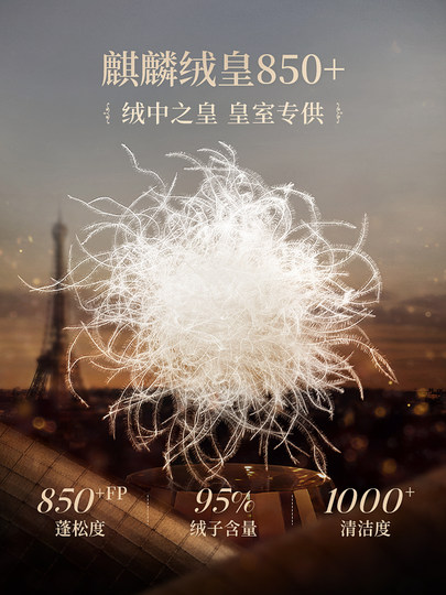 Govan black gold goose down jacket Paris Haute Couture 4.0 seven-lattice down jacket women's winter long style