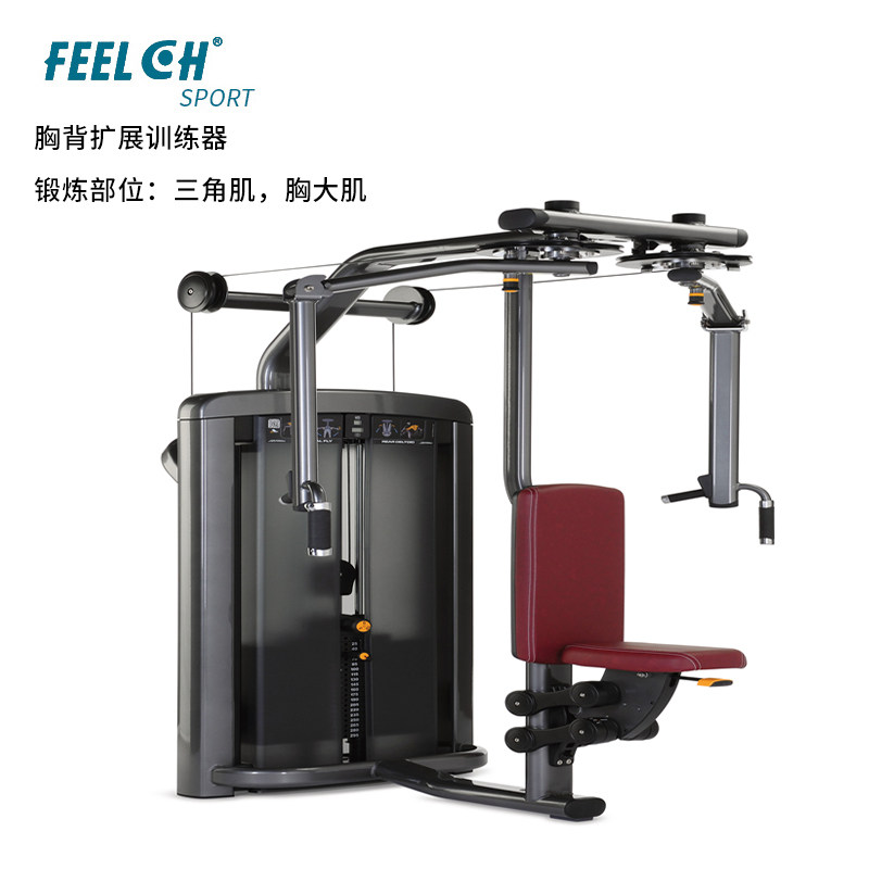 Fici Multifunction Large Fitness Equipment Chest Back Extension Trainer Commercial Power Ensemble Complete Home With Fitness Equipment