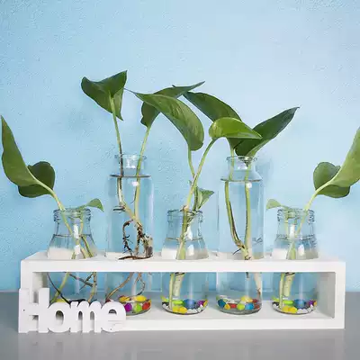 Creative desktop gold Ge hydroponic vase fresh ornaments living room flower arrangement plant transparent glass container