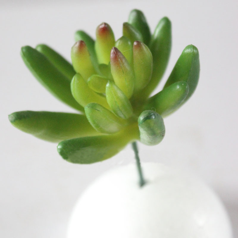 Mmagade mini-plant multi-meat plant flower head simulation plant indoor decoration micro-landscape