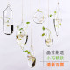 Creative hanging transparent glass vase small hanging bottle hydroponic flower device indoor gardening home decoration bottle plant set