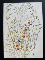 Stamp exhibition material: 1959 early large-scale telegraph newspaper of the German Post Office telegram slip flowers language of flowers