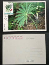 T72 Medicinal Plant Extreme Tablets Tiannanxing Homemade