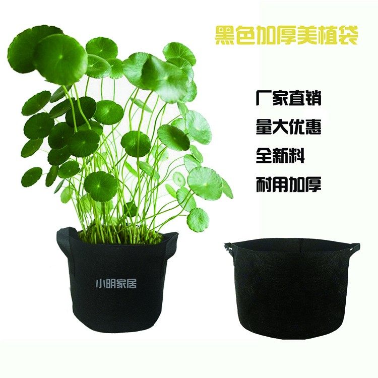 Planting bagNon-woven beauty planting bagNursing trayNutrition body cupDegradable planting bagVegetable balconyForeign trade export