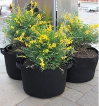 Home gardening beauty planting bag planting bag tree planting bag seedling non-woven double webbing reinforcement nutrition beautification environmental protection bag