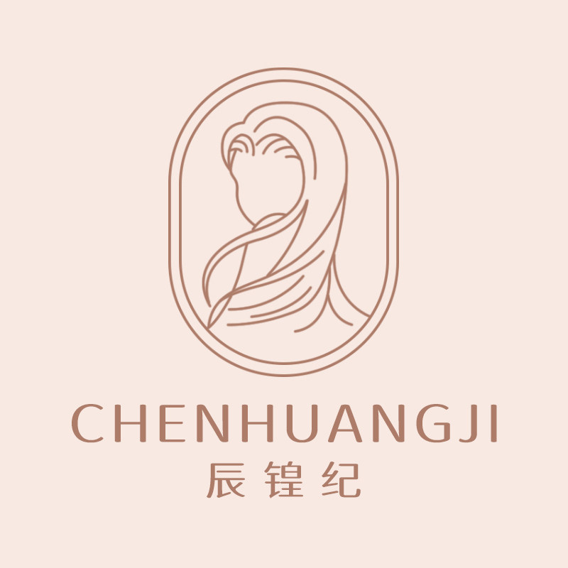 辰锽纪
