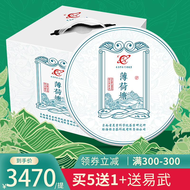  Free Shipping Yuncha Technology Tea Factory 2023 Mint Pond Pu'Er Tea Ancient Tree Early Spring Yiwu High-Canopy Raw Tea Single Cake