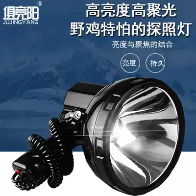 Songyang handheld 35W-220W xenon lamp strong light 12V24V vehicle access lamp fishing boat lighting Searchlight
