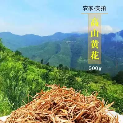 Daylily Yellow Mountain-free sulfur farm planting high quality 500g