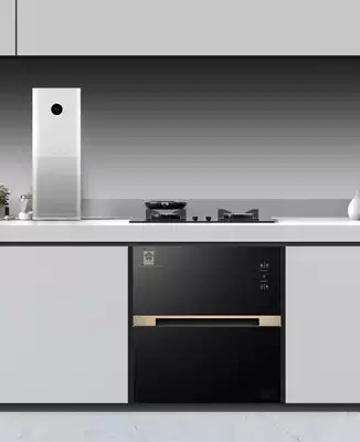 Sakura disinfection cabinet household embedded 120L kitchen whole cabinet large capacity inlay cabinet disinfection bowl cabinet small