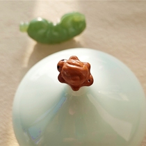 Cute little turtle with peach core